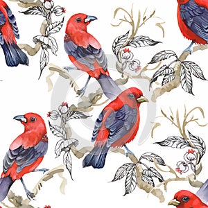 Watercolor Wild exotic birds on flowers seamless pattern on white background