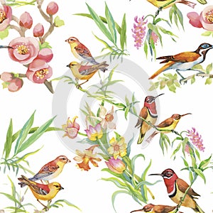 Watercolor Wild exotic birds on flowers seamless pattern on white background photo