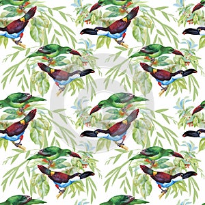 Watercolor Wild exotic birds on flowers seamless pattern on white background