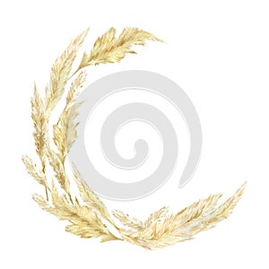 Watercolor wild floral wreath. Pampas graas for design boho and modern logo style . Panicle Cortaderia selloana South America