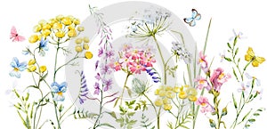 Watercolor wild flowers photo