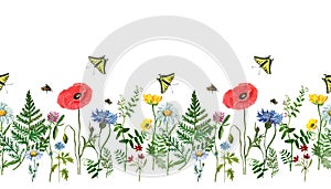 Watercolor wild flowers seamless border. Hand drawn floral field background. Poppy, blue cornflower, clover, cosmos, daisy