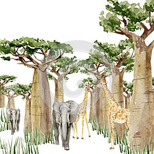 Watercolor wild forest Africa animal Elephant, Giraffe and Baobab tree banner. Nature Africa, southern trees in the savannah