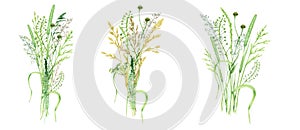Watercolor wild meadow grass bouquet, green herbal composition illustration, cereal wild plants, floral hand drawn