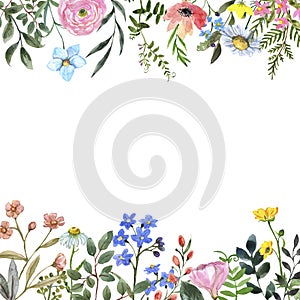 Watercolor wildflower frame on white background. Beautiful summer meadow flowers border