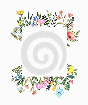 Beautiful wildflower square border with hand painted summer meadow flowers, herbs, grass, leaves, isolated on white background.