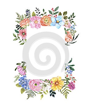 Watercolor wildflower frame on white background. Beautiful summer meadow flowers border, botanical backdrop for cards, invitations