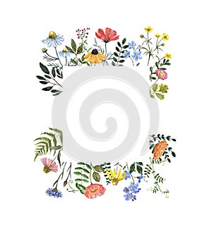 Watercolor wildflower frame on white background. Beautiful summer meadow flowers border, botanical backdrop for cards, invitations photo