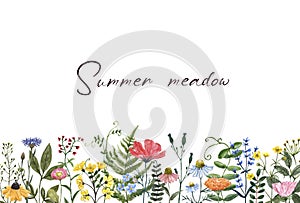 Watercolor wildflowers border on white background. Summer meadow floral frame photo