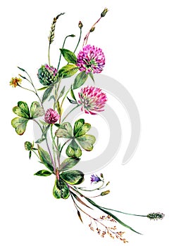 Watercolor Wildflowers Bouquet. Hand Drawn Clover, Greenery, Spring Flowers Arrangement Isolated on White