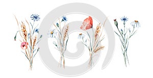 Watercolor wildflowers bouquets and frames with poppy cornflower chamomile, rye and wheat spikelets background