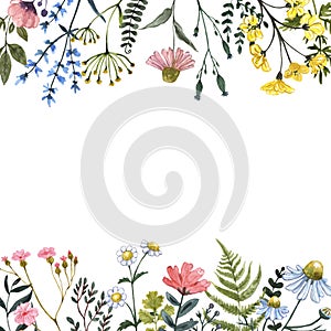 Watercolor wildflowers frame on white background. Beautiful summer meadow floral border