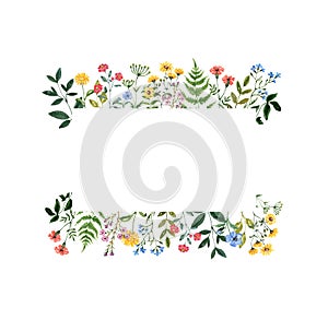 Watercolor wildflowers frame with white background. Colorful summer meadow flowers and leaves border, botanical template for cards