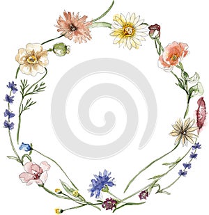 Watercolor wildflowers and grass wreath illustration, meadow flowers frame clipart