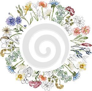 Watercolor wildflowers and grass wreath illustration, meadow flowers frame clipart
