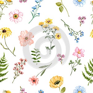 Watercolor wildflowers seamless pattern. Pretty spring meadow and garden flowers, grasses on white background