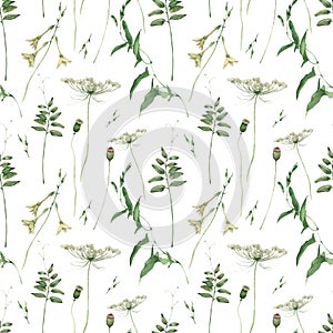 Watercolor wildflowers seamless pattern on white background