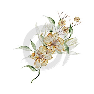 Watercolor wildflowes bouquets and wild hebs