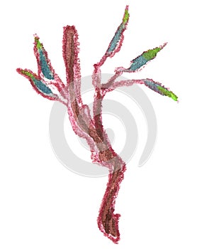 Watercolor willow branch with leaves on white