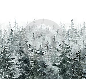 Watercolor winter banner with hand painted pine and spruce trees and on white background with space for text. Snowy forest