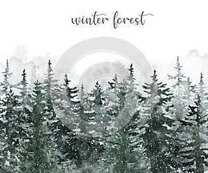 Watercolor winter pine tree forest background. Hand painted conifer spruce trees with falling snow. Nature landscape scene photo