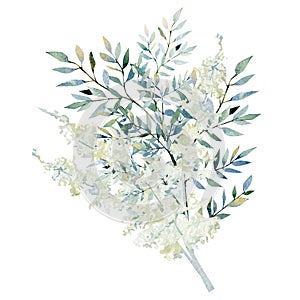 Watercolor winter eucalyptus branches and leaves, pampas grass. Hand painted navy blue wild floral bouquet