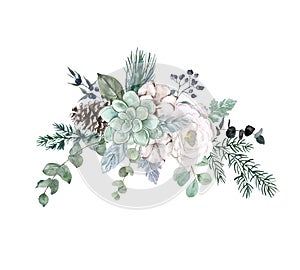 Watercolor winter floral arrangement with succulent, eucalyptus, pine branches, white flower, isolated. Pastel neutral color