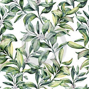 Watercolor winter floral pattern. Hand painted snowberry branch