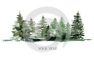 Watercolor winter foggy evergreen forest. Hand painted fir trees illustration isolated on white background. Holiday clip