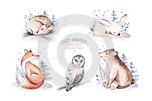 Watercolor winter forest animals deer with fawn, owl rabbits, bear birds on white background. Wild forest fox and squirrel animals