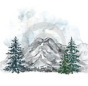 Watercolor winter forest background with hand painted pine and spruce trees. Mountain landscape graphic
