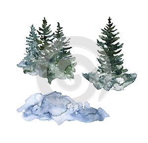 Hand painted winter nature illustration. Watercolor evergreen pine trees on white background. Woodland landscape graphic photo
