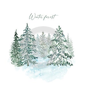 Watercolor winter landscape with trees, hand painted illustration on white background. Snowy pine and spruce tree forest