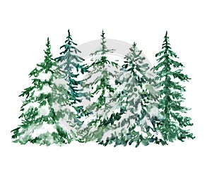 Watercolor pine trees graphic set. Hand painted forest tree illustration. Winter evergreen woods, isolated elements