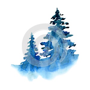 Watercolor winter snow forest isolated on white background. Treescape with pine and fir Illustration landscape for print photo
