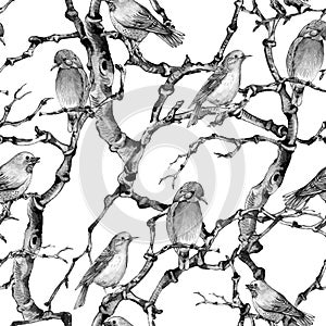 Watercolor winter vintage botanical seamless pattern, Birds twig