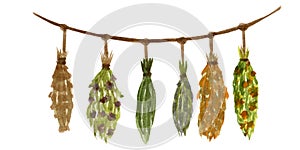 Watercolor witch garland with herbs, isolated on white background. For various kitchen products, Halloween, cards, etc.
