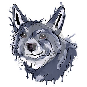 Watercolor wolf head