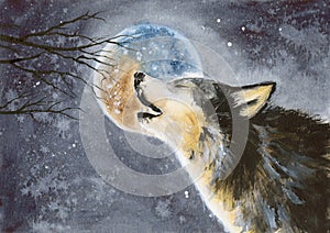 Watercolor wolf with shining moon