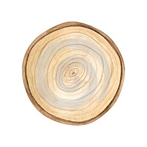 Watercolor wood slice illustration. Hand painted wooden texture board isolated on white background. Tree rings. Rustic