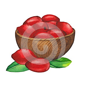 Watercolor wooden bowl with dry goji berries inside.