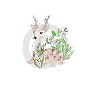 Watercolor woodland animals vintage style icons isolated on white