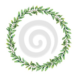 Watercolor wreath with abstract leaves. Green Branch, garden plants. Herbal composition isolated on white. Illustration for