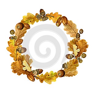 Watercolor wreath of autumn leaves and acorns. Fall composition of bright oak foliage and branches