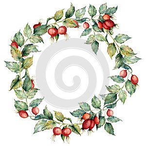 Watercolor wreath with branch of Dog rose, red berries and green leaves. Hand painted briar and hips isolated on blue