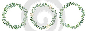 Watercolor wreath of eucalyptus branches and leaves. Hand painted card set of silver dollar plants isolated on white background.