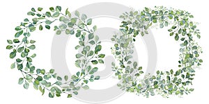 Watercolor wreath of eucalyptus branches and leaves. Hand painted card set of silver dollar plants isolated on white background.