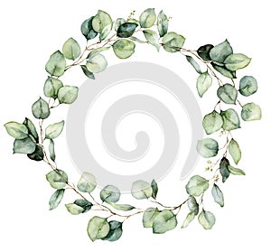Watercolor wreath of eucalyptus branches, seeds and leaves. Hand painted silver dollar eucalyptus isolated on white