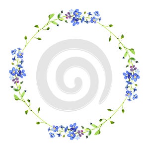 Watercolor wreath. Forget-me-nots