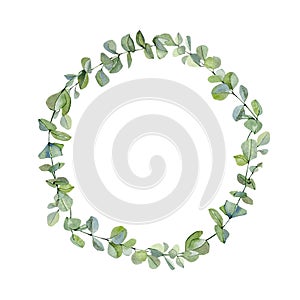 Watercolor wreath with hand painted silver dollar eucalyptus. Green branches and leaves isolated on white background. Floral illu photo